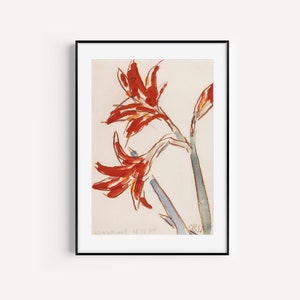 ART PRINT / rode amaryllis / krijt en aquarel / vintage bloemen / vintage kunst aan de muur