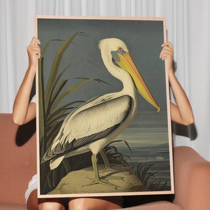 Coastal Pelican Art Print - Majestic Seabird Illustration - Nautical Wildlife Digital Artwork - Beach House Decor - Modern Audubon Style