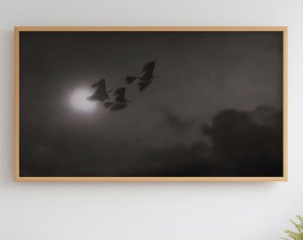 May include: A framed black and white print depicts three birds in flight against a cloudy, moonlit sky. The artwork is encased in a light brown wooden frame, adding a touch of warmth to the monochromatic scene. The birds are silhouetted, creating a sense of movement and freedom.