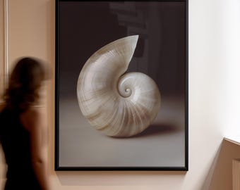 Può includere: Una fotografia incorniciata di una grande conchiglia bianca con un motivo a spirale. La conchiglia è su uno sfondo scuro.