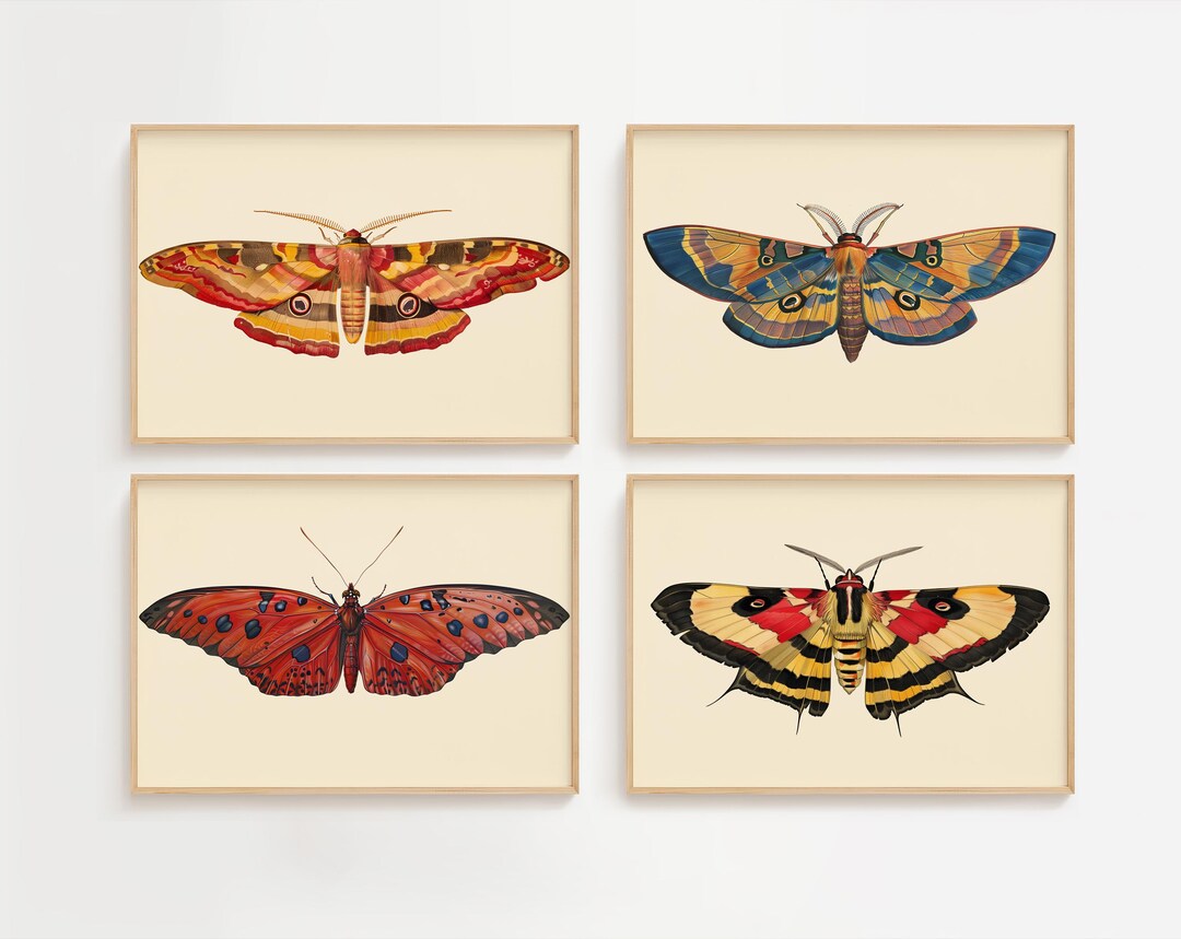Vintage Moth & Butterfly Art Prints: Colorful Insect Illustration Set ...