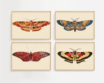 Vintage kunstafdrukken met vlinders en vlinders: kleurrijke insectenillustratieset (digitale download)
