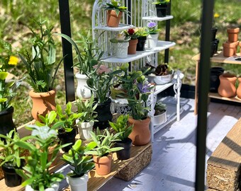 Dollhouse Miniature Plants