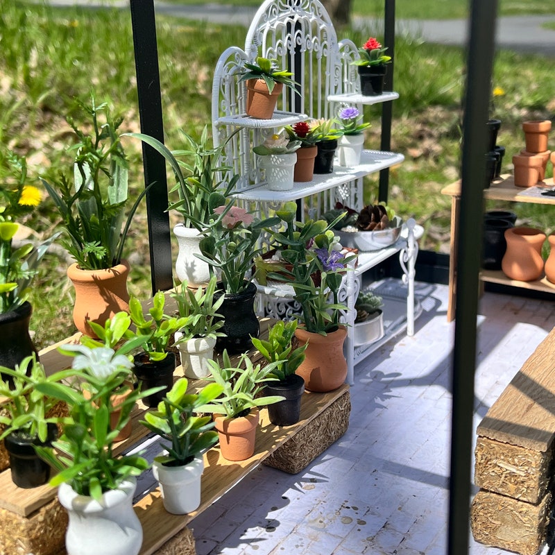 Miniature Plants - Etsy