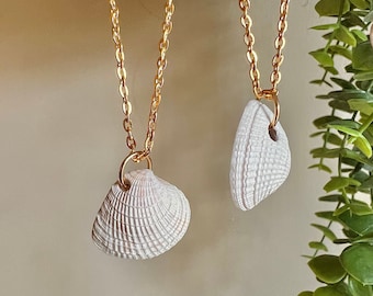Natural Seashell Necklace on Gold Chain, Real Shell Necklace, Gold Chain shell necklace