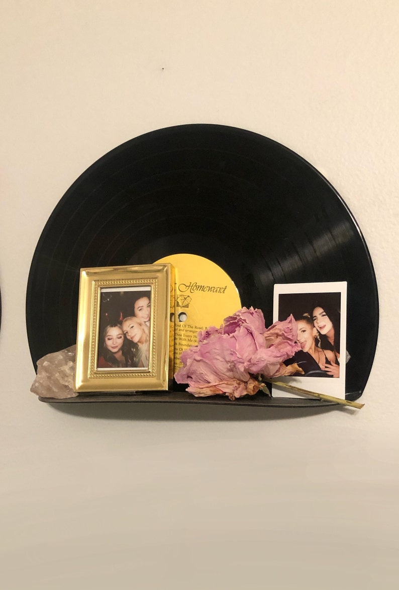 Vinyl Record Shelf image 6