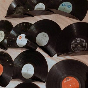 Vinyl Record Shelf image 3