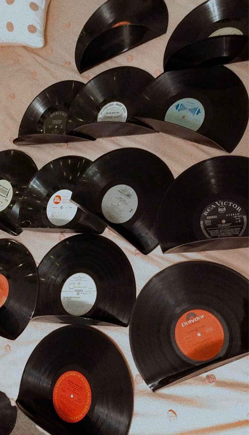 Vinyl Record Shelf image 3