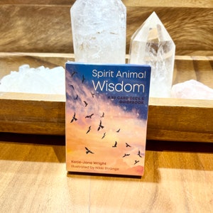 Spirit Animal Wisdom - Pocket Sized Deck, Divination Cards, Messages from Animals, Spirit Animal Cards, Small Deck