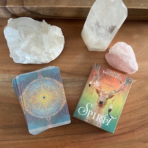 Le pont Oracle des animaux spirituels - jeu de poche, cartes divinatoires, messages d'animaux spirituels, cartes Oracle, petit jeu de cartes