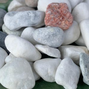May include: A close-up of a collection of smooth, rounded stones in shades of white, grey, and a single reddish-orange rock. The stones vary in size and shape, creating a natural, textured appearance. Suitable for decorative landscaping or craft projects.