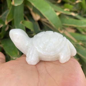 Puede incluir: Pequeña figura de tortuga blanca tallada. La tortuga tiene un patrón de caparazón detallado y descansa sobre una mano. La figura está hecha de un material liso y opaco. El fondo es follaje verde borroso.