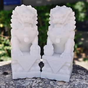 Può includere: Due statue di cani Foo in marmo bianco. Ogni statua è in posizione seduta, con una criniera dettagliata e una zampa appoggiata su una base decorativa. Le statue sono esposte su una superficie di pietra naturale.