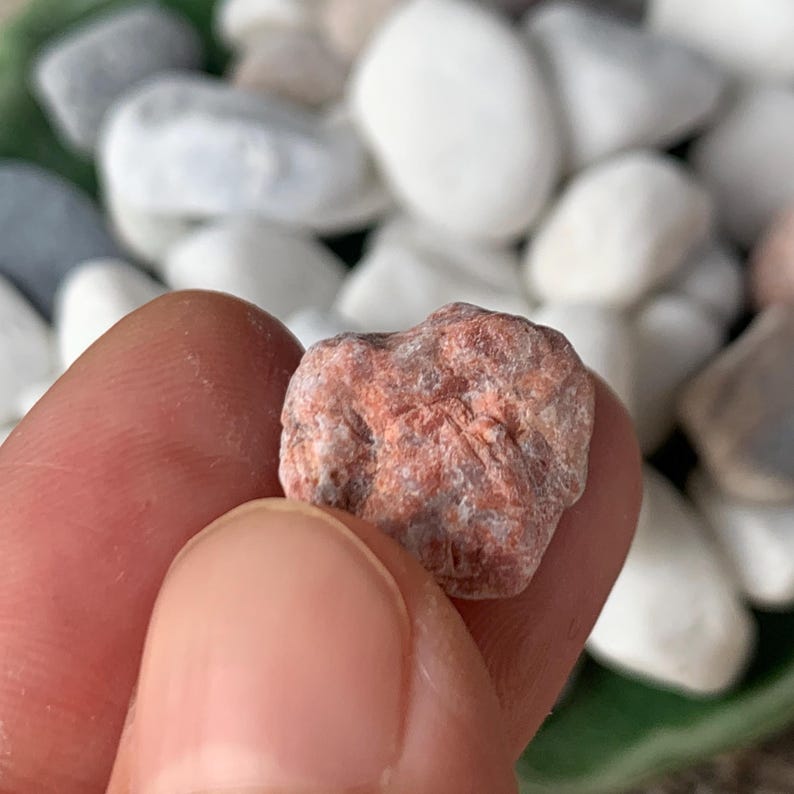 May include: A close-up of a small, rough-textured rock held between fingers. The rock is primarily reddish-orange with gray and white patches. The background features a collection of smooth, white and gray stones.