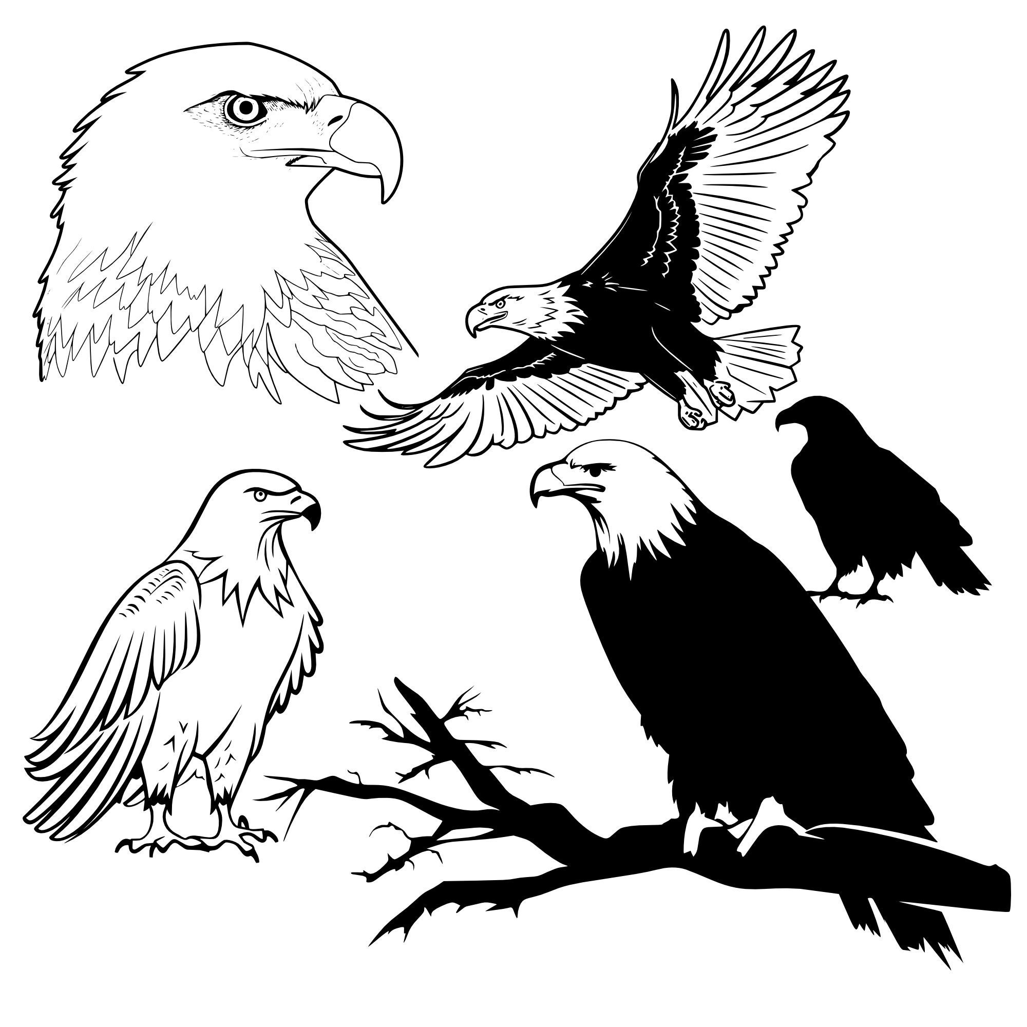 23 Piece BALD EAGLE Pack Vector Bundle Birds Png AMERICA Tattoo Stencil american-flag-bald-eagle