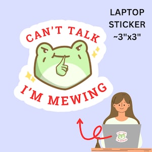 May include: A green frog with a finger to its mouth, a white sticker with the text "CAN'T TALK I'M MEWING" in red, and a laptop with the same sticker on it. The sticker is approximately 3 inches by 3 inches.