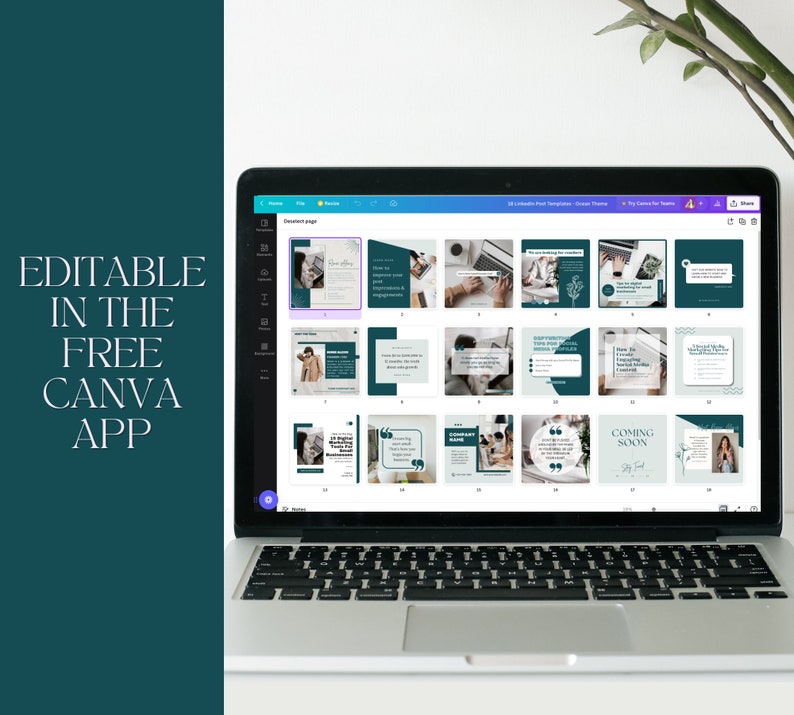 May include: A laptop screen displaying a Canva design template with 18 social media post templates in a teal and white color scheme. The templates feature text, images, and graphics. The text on the screen reads "Coming Soon".