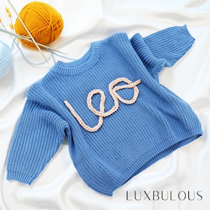 May include: A blue knitted sweater with a pink knitted "Leo" design on the front.