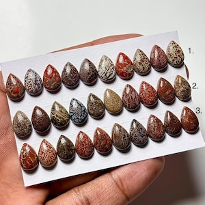 Dinosaur Bone Cabochon: Pear Shape Gemstone for Jewelry Making (8x12mm