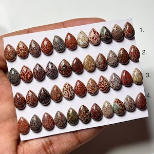 Dinosaur Bone Cabochon: 7x10mm Pear Shape Gemstone