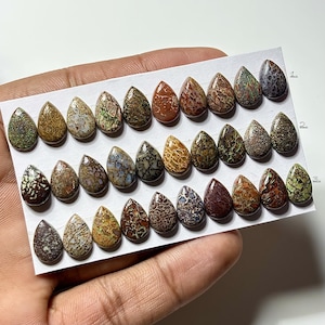Dinosaur Bone Cabochon: Pear Shape Gemstone for Jewelry Making (8x12mm