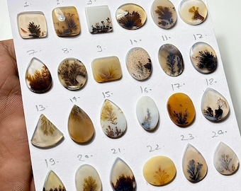Puede incluir: Una colección de veinticuatro cabujones de ágata dendrítica dispuestos sobre una tarjeta blanca, numerados del 1 al 24. Las piedras presentan tonos blancos, bronceados y marrones, con inclusiones oscuras en forma de helecho arbóreo.