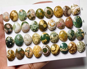 Orbikulära havsjasperrosenslipade cabochoner: Naturliga lösa ädelstenar med platt baksida för smyckestillverkning