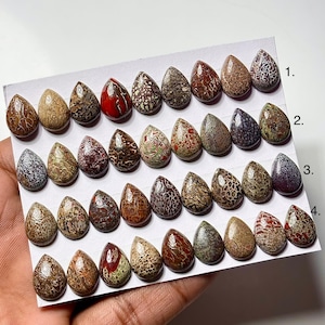 Dinosaur Bone Cabochon: Pear Shape Gemstone for Jewelry Making (10x14mm