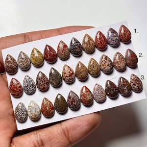 Dinosaur Bone Cabochon: Pear Shape Gemstone for Jewelry Making (8x12mm