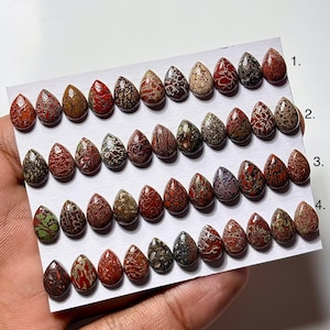 Dinosaur Bone Cabochon: 7x10mm Pear Shape Gemstone for Jewelry