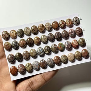 Dinosaur Bone Cabochon: 9x11mm Oval Gemstone for Jewelry