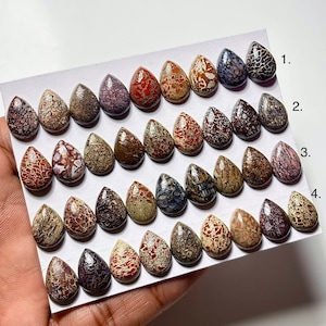 Dinosaur Bone Cabochon: Pear Shape Gemstone (10x14mm) for Jewelry