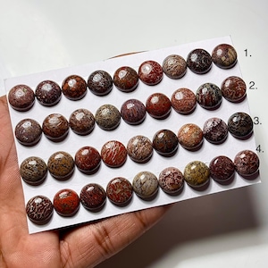 Round Dinosaur Bone Cabochon: 11x11mm Jewelry Making Gemstone