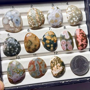 May include: A collection of twelve faceted, polished, multi-colored orbicular jasper stones arranged in a display tray, numbered one through twelve, with a United States quarter coin included for scale to show the size of the stones.