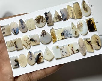 Cabujón liso de ágata escénica, piedra suelta de ágata dendrita para joyería