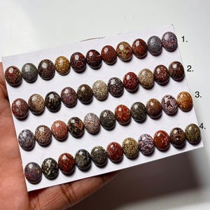 Dinosaur Bone Cabochon: 8x10mm Oval Gemstone for Jewelry
