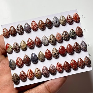 Dinosaur Bone Cabochon: 7x10mm Pear Shape Gemstone for Jewelry