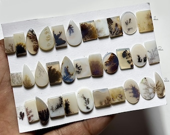 May include: A collection of polished dendritic agate gemstones in various shapes, including rectangles, ovals, and teardrops. The stones feature intricate, tree-like patterns in shades of brown, black, and white, set against a translucent background.