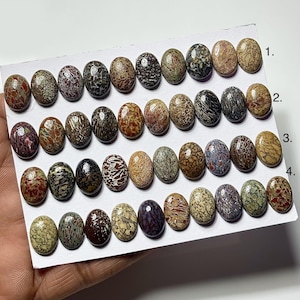 May include: A collection of oval-shaped gemstones in various colors, including brown, red, black, and beige. The gemstones are arranged on a white surface, showcasing their unique patterns and textures. The gemstones are likely for jewelry making.