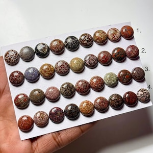 Round Dinosaur Bone Cabochon: 11x11mm Jewelry Making Gemstone