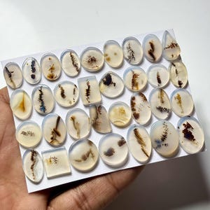 Puede incluir: Una colecci&oacute;n de piedras preciosas de &aacute;gata dendr&iacute;tica pulida en varias formas, incluyendo &oacute;valos y rect&aacute;ngulos. Las piedras transl&uacute;cidas presentan patrones internos de inclusiones marrones y negras, que se asemejan a paisajes en miniatura. Las piedras se muestran sobre una superficie blanca.
