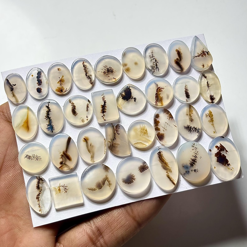 Puede incluir: Una colecci&oacute;n de piedras preciosas de &aacute;gata dendr&iacute;tica pulida en varias formas, incluyendo &oacute;valos y rect&aacute;ngulos. Las piedras transl&uacute;cidas presentan patrones internos de inclusiones marrones y negras, que se asemejan a paisajes en miniatura. Las piedras se muestran sobre una superficie blanca.