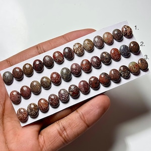 Dinosaur Bone Cabochon: 8x10mm Oval Gemstone for Jewelry