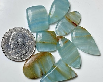 Può includere: Una collezione di pietre preziose lucide di varie forme, tra cui gocce, ovali e rettangoli. Le pietre sono principalmente azzurre con venature marroni e dorate. Una moneta da un quarto di dollaro USA è inclusa come riferimento delle dimensioni.