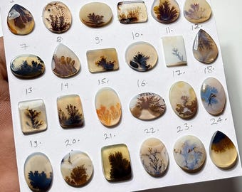 Puede incluir: Una colección de veinticuatro cabujones de ágata dendrítica pulidos, dispuestos sobre una tarjeta blanca y numerados del 1 al 24. Estas piedras translúcidas presentan inclusiones oscuras en forma de helecho en tonos marrón, negro y azul.