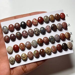 Dinosaur Bone Cabochon: 8x10mm Oval Gemstone for Jewelry