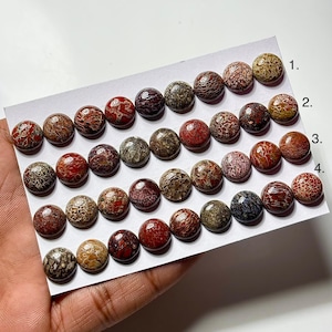 Natural Dinosaur Bone Cabochon: 11x11mm Round Gemstone for Jewelry