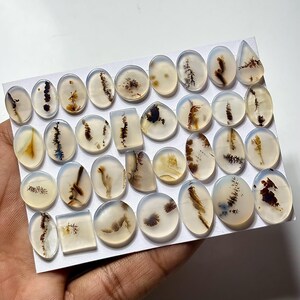 Puede incluir: Una colecci&oacute;n de piedras preciosas de &aacute;gata pulidas en varias formas, incluyendo ovaladas, rectangulares y en forma de l&aacute;grima. Las piedras transl&uacute;cidas presentan intrincados patrones de inclusiones marrones, negras y amarillas, sobre un fondo blanco lechoso. Las piedras preciosas se muestran sobre una superficie blanca.