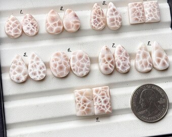 May include: A collection of nine polished gemstones in various shapes, including teardrops, ovals, and squares. The stones are a creamy white color with a distinctive brown web-like pattern. A US quarter coin is included for size reference.