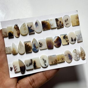Puede incluir: Una colecci&oacute;n de piedras preciosas de &aacute;gata dendr&iacute;tica pulida en varias formas, incluyendo rect&aacute;ngulos, &oacute;valos y gotas. Las piedras muestran patrones crema, marr&oacute;n y negro que se asemejan a paisajes naturales. Las piedras preciosas est&aacute;n dispuestas sobre una superficie blanca.
